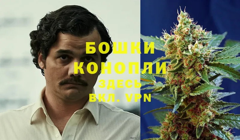 мега ссылка  Наволоки  МАРИХУАНА OG Kush 